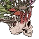 Blackwaterimpのプロフィール画像